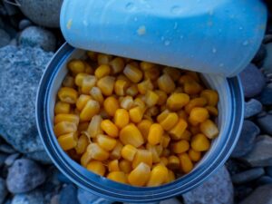 Kukurica  v konzerve
